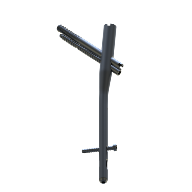 Trauhui Ratamed ramentullyllary тырнақ жүйесінің жүйелік-проксимальды тырнақтары (TRT11)