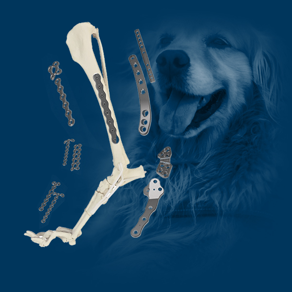 VETERINARIUS